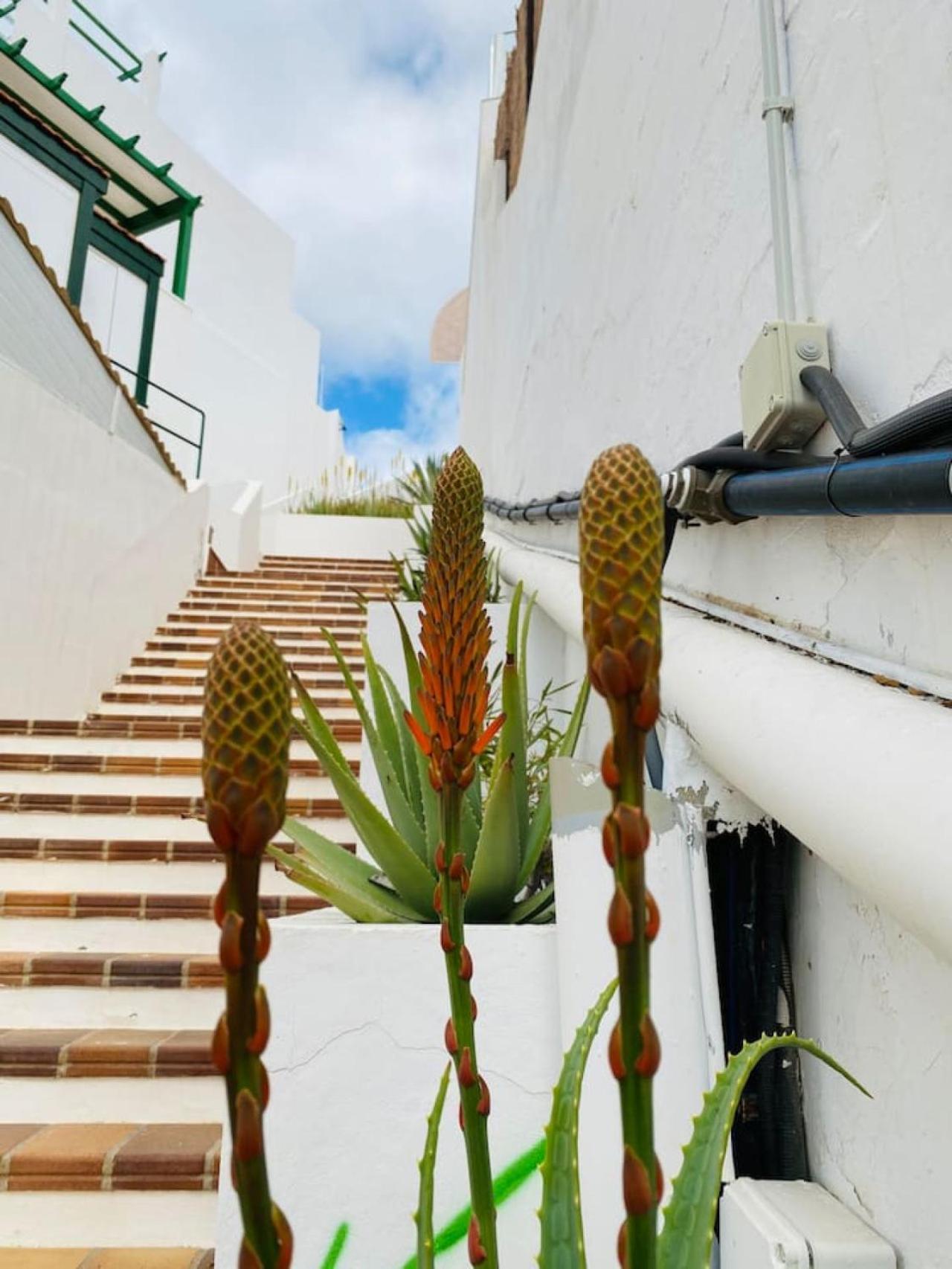 Casa vacanze Tenerife.365 Atalaya Court Ii Sunset Ocean View *