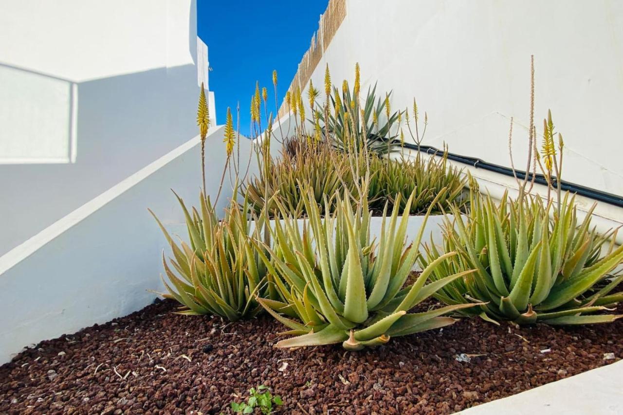 Holiday home Tenerife.365 Atalaya Court Ii Sunset Ocean View Costa Adeje (Tenerife)